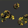 Fresh Onion Bulbs With Green Leaves And Yellow Flowers On Grey Background