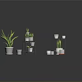 Indoor Potted Plants On Tiered Shelves With White Grid Planters And Black Stands