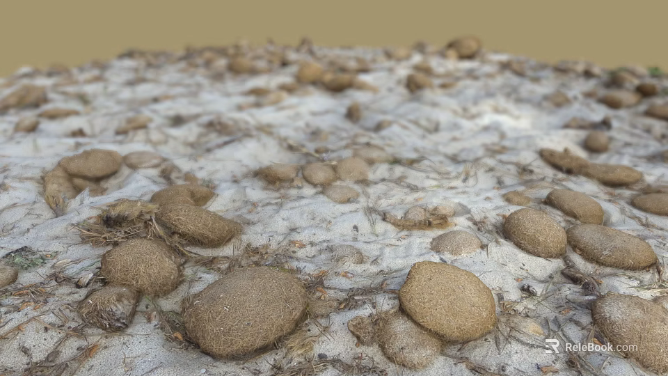 Rough Stones and Small Wood Chips Scattered on Sandy Ground with Natural Texture 3d model 