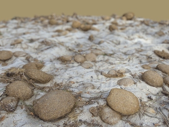 Gravel Soil Block Sand 3d model