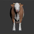 Brown And White Cow Standing On Black Background With Reflection 3d model