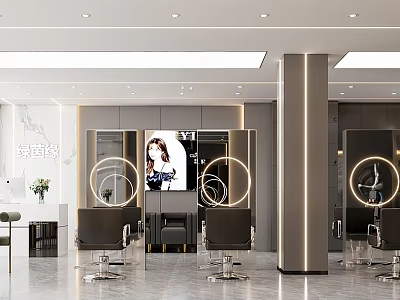 Modern Hair Salon Interior With Styling Chairs Round Mirrors Digital Screen And Plants 3d model