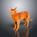 Elegant Orange Cat Standing on Reflective Floor with Gray Background 3d model
