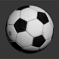Black And White Panel Soccer Ball Sports Equipment With Sun Logo On Surface