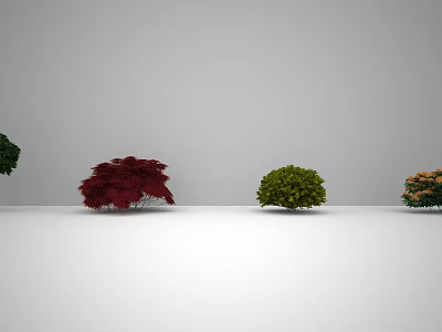 Modern Shrub Plants 3d model