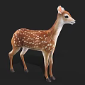 3D Fawn Model with Brown Fur and White Spots on Black Background