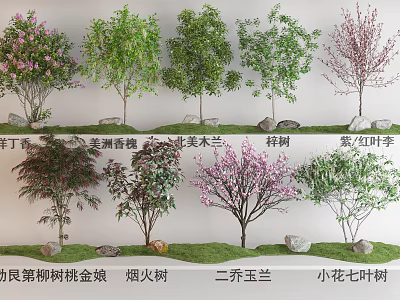 Diverse Garden Plant Combination Featuring Lilac Magnolia Purple Leaf Plum and Sevenleaf Tree 3d model