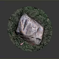 Natural Large Rock Surrounded By Lush Green Grass And Pink Leaves