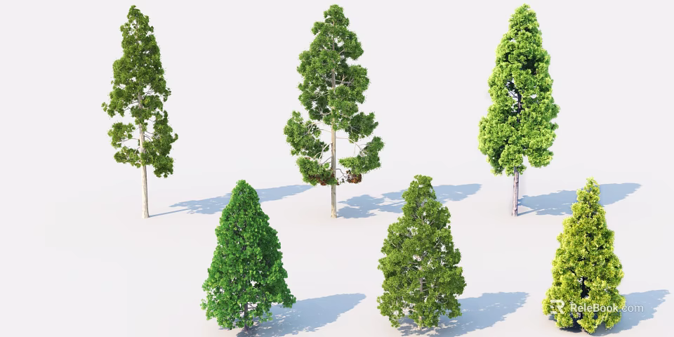 Arbor Varieties With Green Foliage And Different Canopy Shapes For Landscape 3d model 