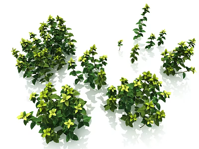 Fresh Green Leafy Plants With Small Yellow Flowers In Multiple Clusters 3d model
