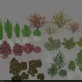 Different Types of Colorful Shrubs for Garden Landscaping and Ornamental Greenery