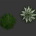 Two Pine Trees One Green and One Snow Covered in Natural Scene 3d model
