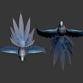 Bird Xuan Feng Parrot Birds 3d model