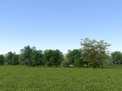 Park Landscape With Vast Green Grass And Row Of Trees Under Blue Sky 3d model