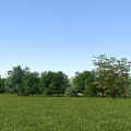 Park Landscape With Vast Green Grass And Row Of Trees Under Blue Sky