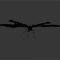 Black Butterfly With White And Red Spots Flying On Gray Background