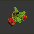 Potted Plant With Green Leaves And Red Fruits In Orange Rope Decorated Pot