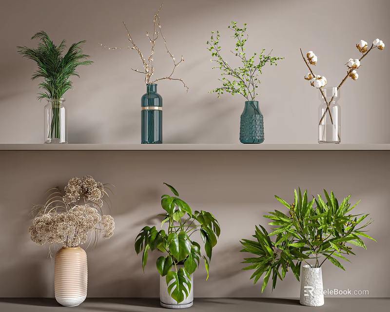 Aquatic Plants With Green Foliage In Glass Vases For Indoor Decoration 3d model 