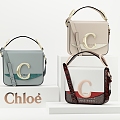 Handbag Women's Bag Women's Clothing Store Window Display Bag Leather Crocodile Chloe Chloe Small Bag Women's Bag 3d model