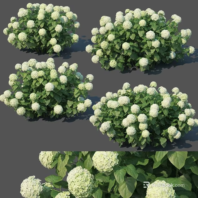 Lush Garden Shrubs With White Round Flowers And Green Leaves 3d model 