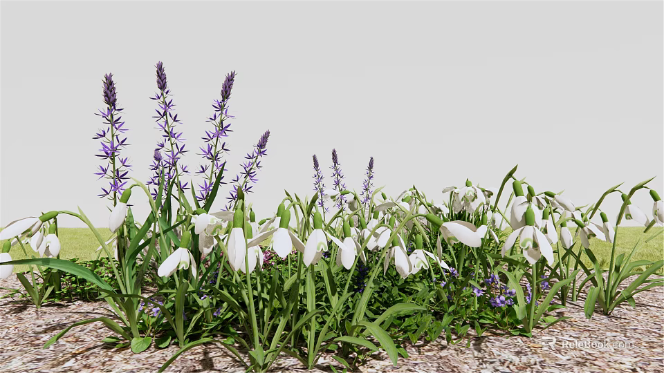 Beautiful Purple And White Flowers With Green Leaves On Wood Chip Ground 3d model 