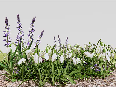 Beautiful Purple And White Flowers With Green Leaves On Wood Chip Ground 3d model