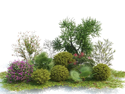 Various Types of Garden Shrubs with Green Foliage and Purple Flowers 3d model