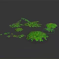 Vibrant Green Plants Featuring Various Sizes Shapes and Lush Leaves on Dark Background