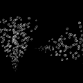Transparent Bubbles Gently Floating On Black Background With Scattered Flowing Patterns