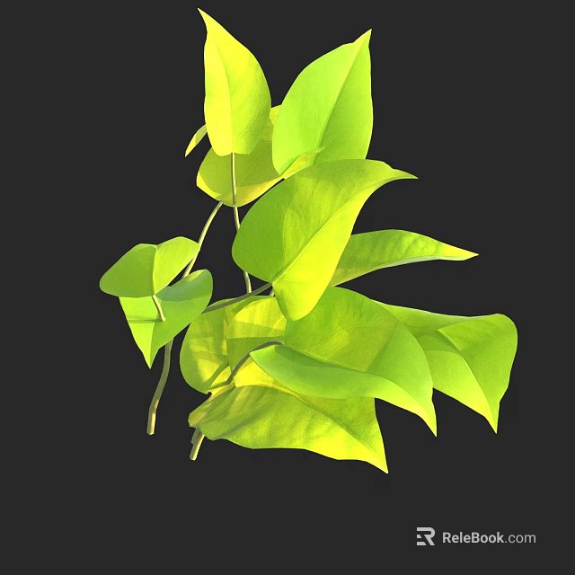 Fresh Green Plant Leaves With Vibrant Color And Natural Healthy Texture 3d model 
