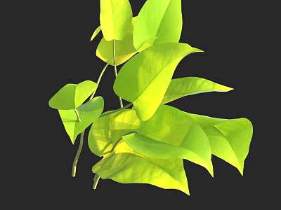 Fresh Green Plant Leaves With Vibrant Color And Natural Healthy Texture 3d model