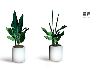 Green Leafy Potted Plants in White Cylindrical Pots for Home Decor 3d model