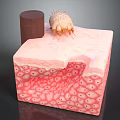 Medical Device for Skin Mite Detection with Layered Skin Structure Observation 3d model