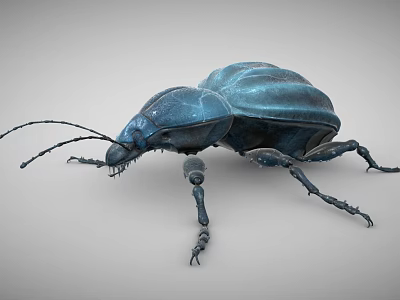 Blue Flying Beetle 3D Model With Metallic Legs And Long Antennae 3d model