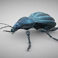 Blue Flying Beetle 3D Model With Metallic Legs And Long Antennae 3d model