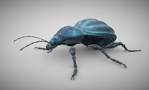 Modern Beetle Earth Beetle 3d model