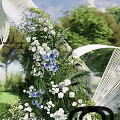 Outdoor Wedding Floral Display with White Blue Blooms Green Foliage and Welcome Sign
