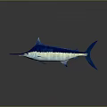 Blue and white swordfish with gradient body and long bill on gray background reflection 3d model