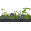 Black Rectangular Bonsai Planter With Various Green Plants And Black Stones