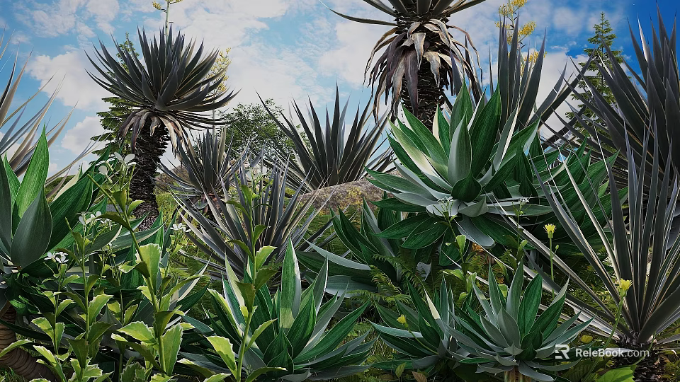 Vibrant Green Agave Plants And Tropical Foliage In Lush Outdoor Garden Under Blue Sky 3d model 