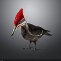 Woodpecker With Red Crest Long Beak White Facial Stripes And Dark Body On Gray Background