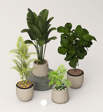 Green Plant Potted Plant Natural Wind Flower Pot Green Plant Flower Pot Combination 3d model