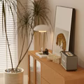 Modern Living Room Decorative Display Cabinet With Table Lamp Palm Plant And Leopard Wall Art