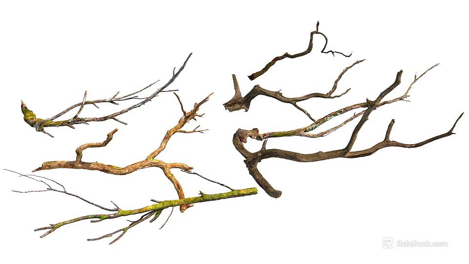 Natural Stone And Wood Branches Decorative Elements With Various Shapes And Textures 3d model