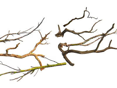 Natural Stone And Wood Branches Decorative Elements With Various Shapes And Textures 3d model