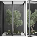 Indoor Arbor With Lush Green Leaves Dark Wall Background And Decorative Balls