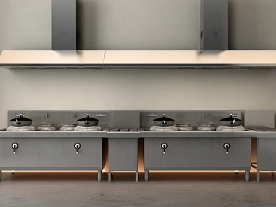 Modern Commercial Kitchen Setup With Stainless Steel Stoves Range Hoods And Cabinets 3d model