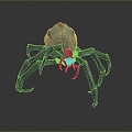 spider poisonous spider big spider reptile insect animal game animal cartoon animal 3d model