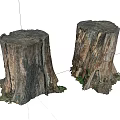 Natural Wooden Tree Stumps With Rustic Texture And Rough Surface 3d model