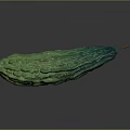 Fresh Green Bitter Melon With Rough Surface On Dark Background 3d model